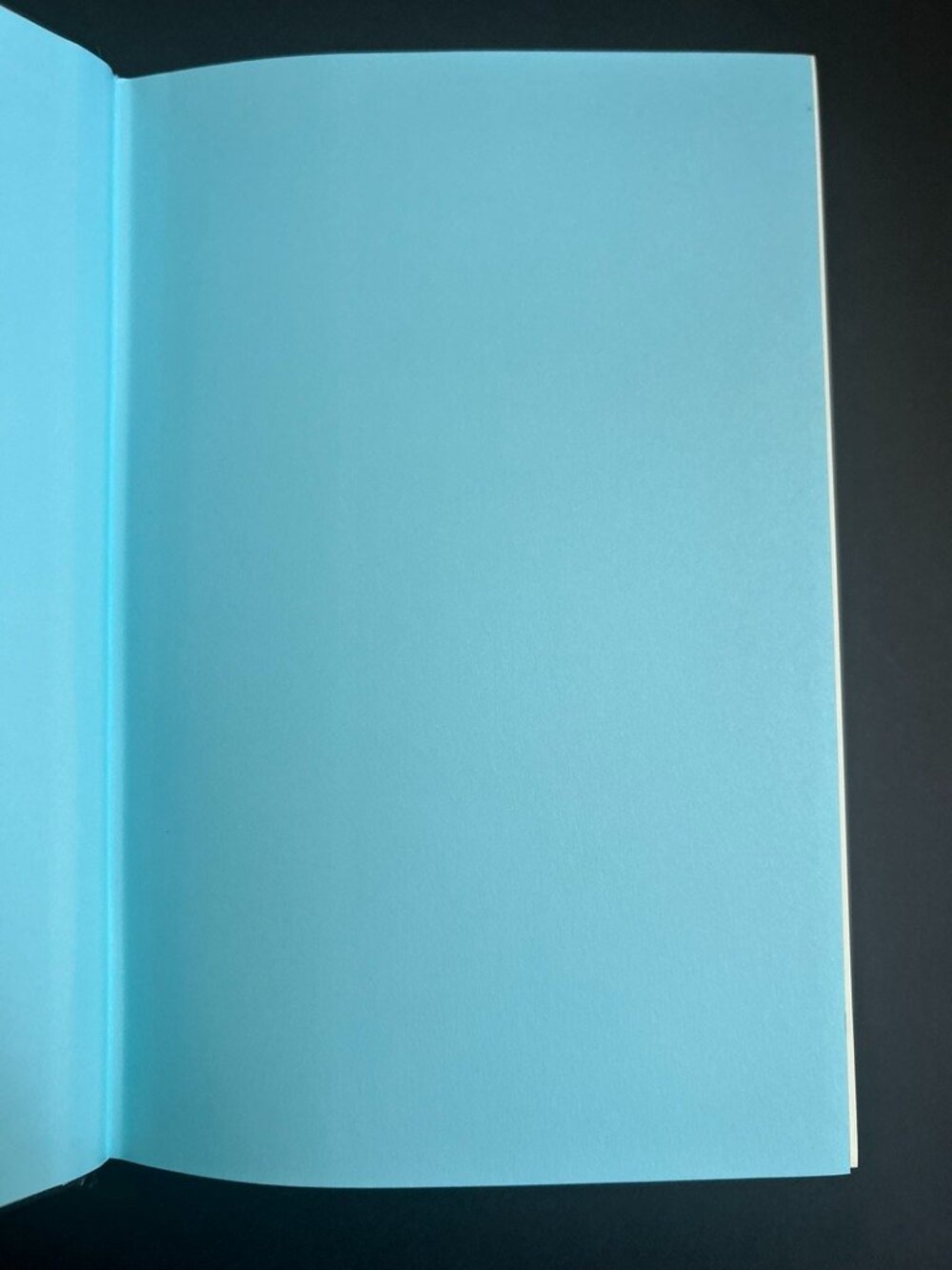 Silver Elite | First Edition | Book - Picture 4 of 10